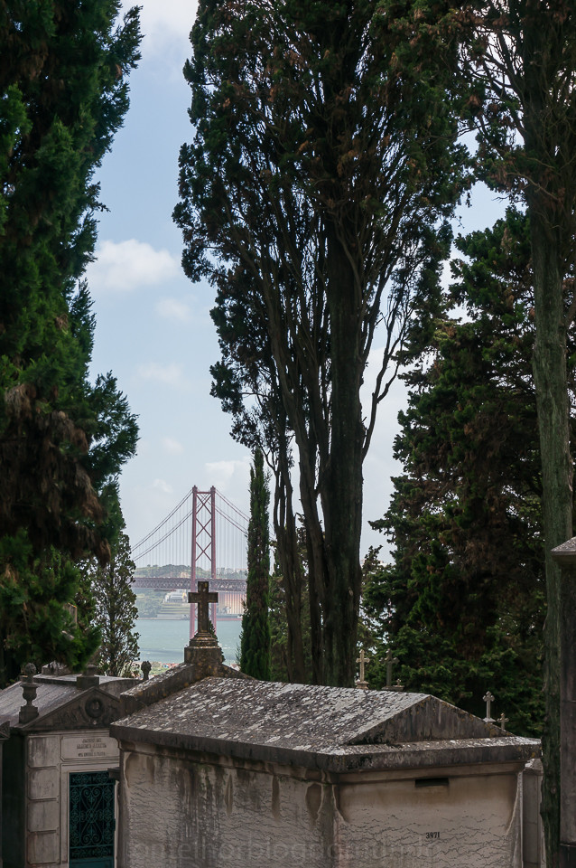 DSC02514.jpg DSC02514.jpg