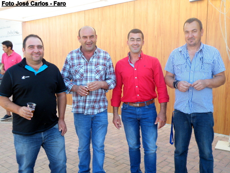 Leilão Serpa 2017 058.JPG