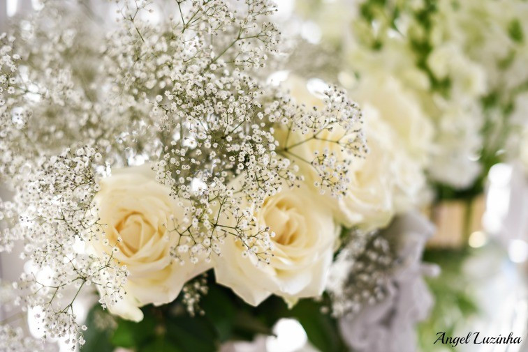 Angel Luzinha Fotografia-9013_BLOG.jpg