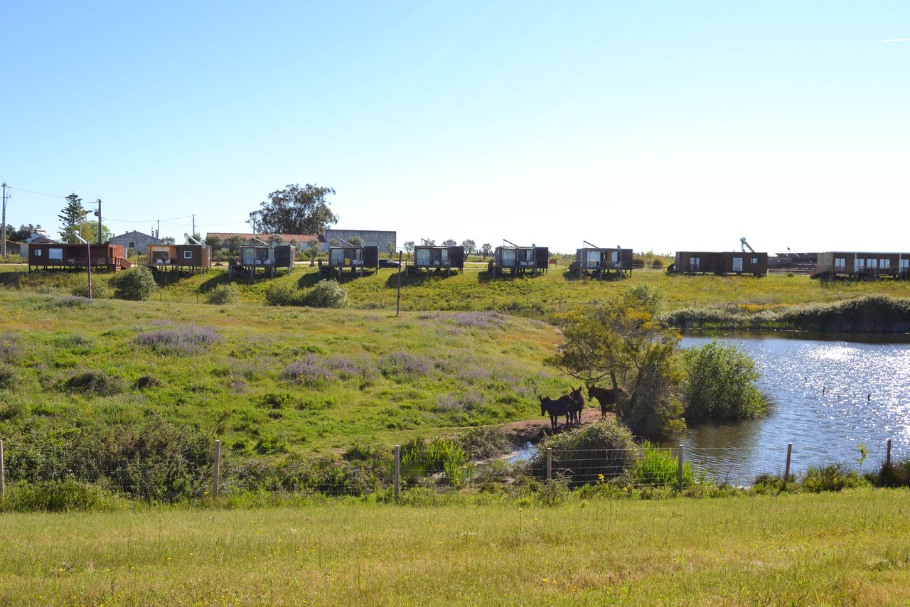 DSC_0188.jpg DSC_0188.jpg