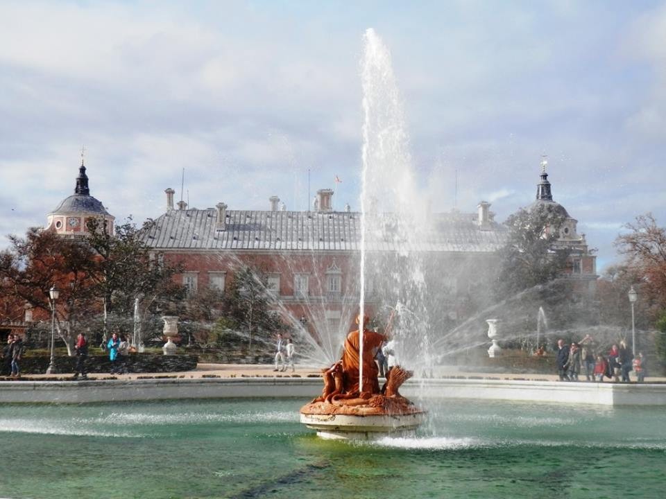 21586_1099748100036780_2794559431155490289_n.jpg 21586_1099748100036780_2794559431155490289_n.jpg