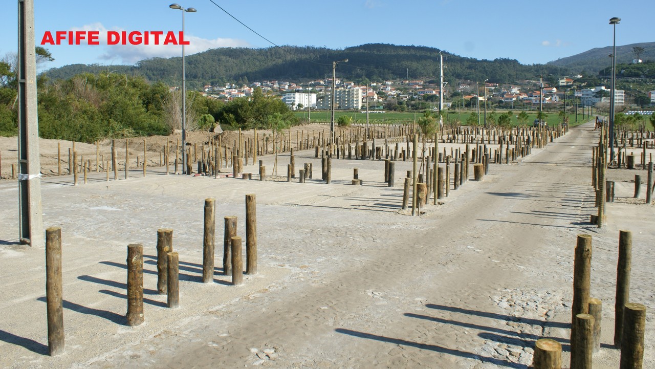 DSC06654.JPG DSC06654.JPG