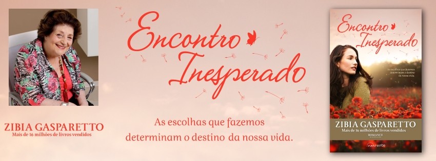 Encontro Inesperado.jpg