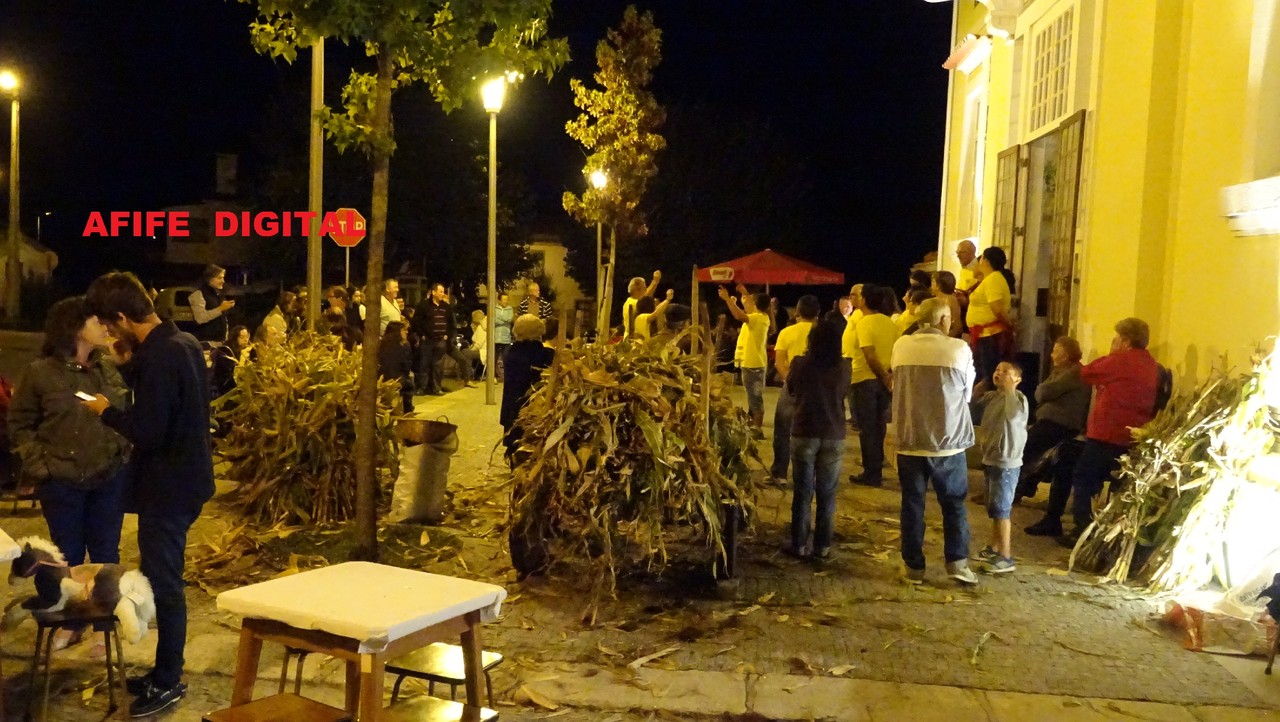 DSC03009.JPG DSC03009.JPG