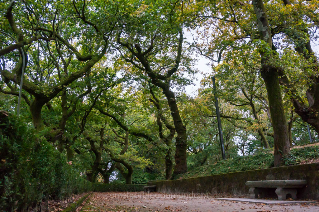 DSC03456.jpg DSC03456.jpg