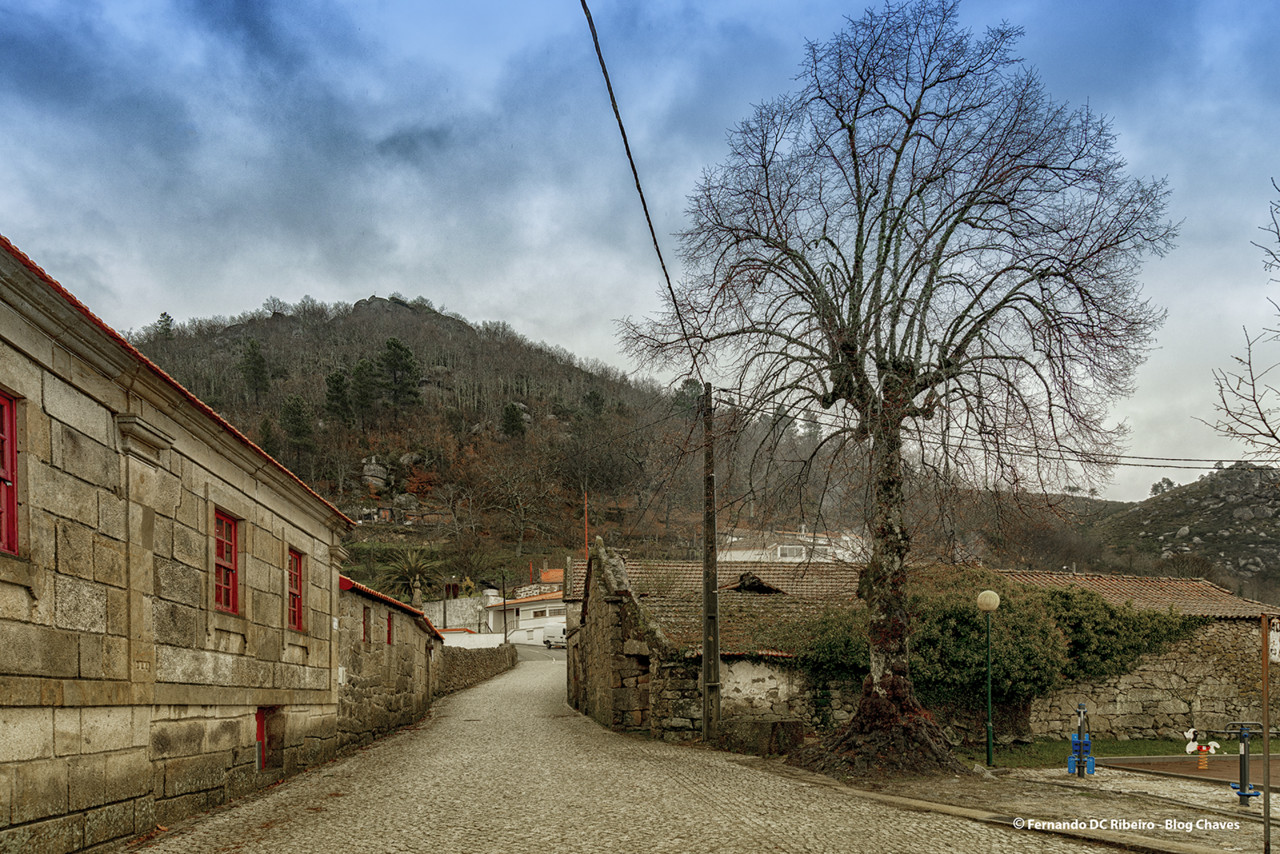 1600-covas (297).jpg