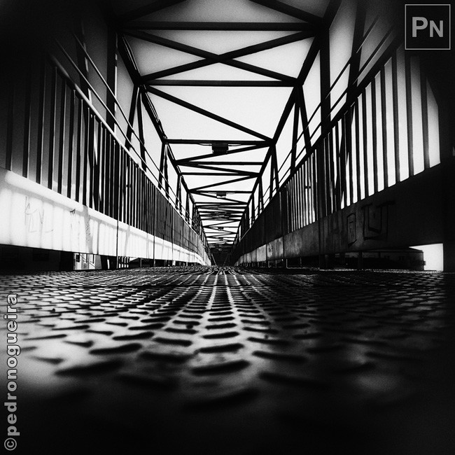 Jun_2019_033d 650px.jpg Jun_2019_033d 650px.jpg