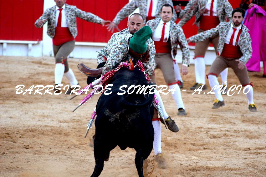 amad Moita Fabio Silva.JPG