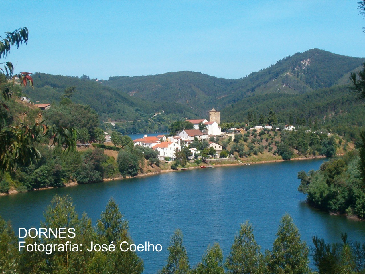 dornes ferreira do zezere