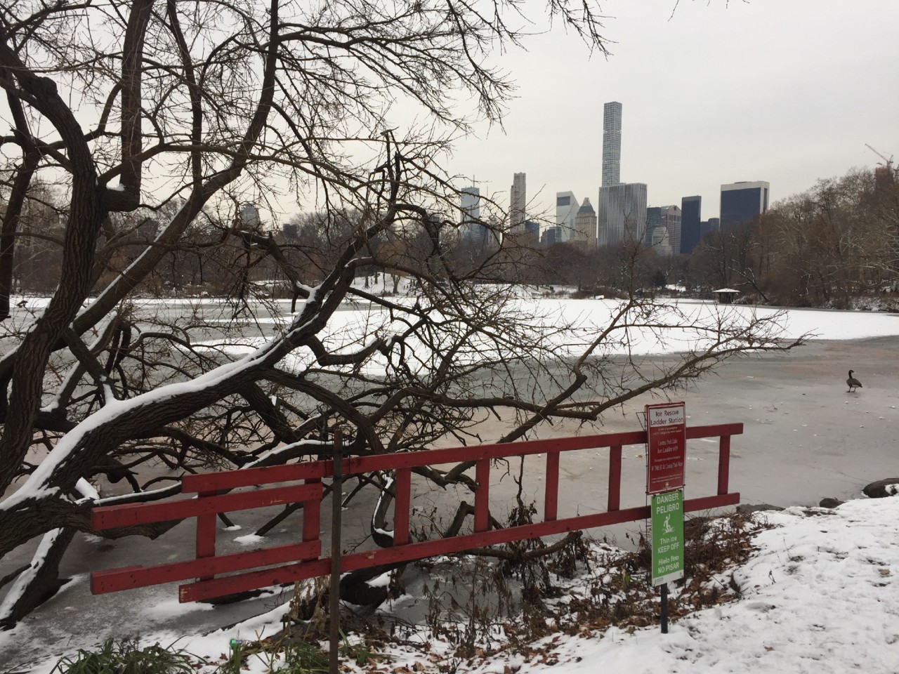 IMG_8526.JPG IMG_8526.JPG