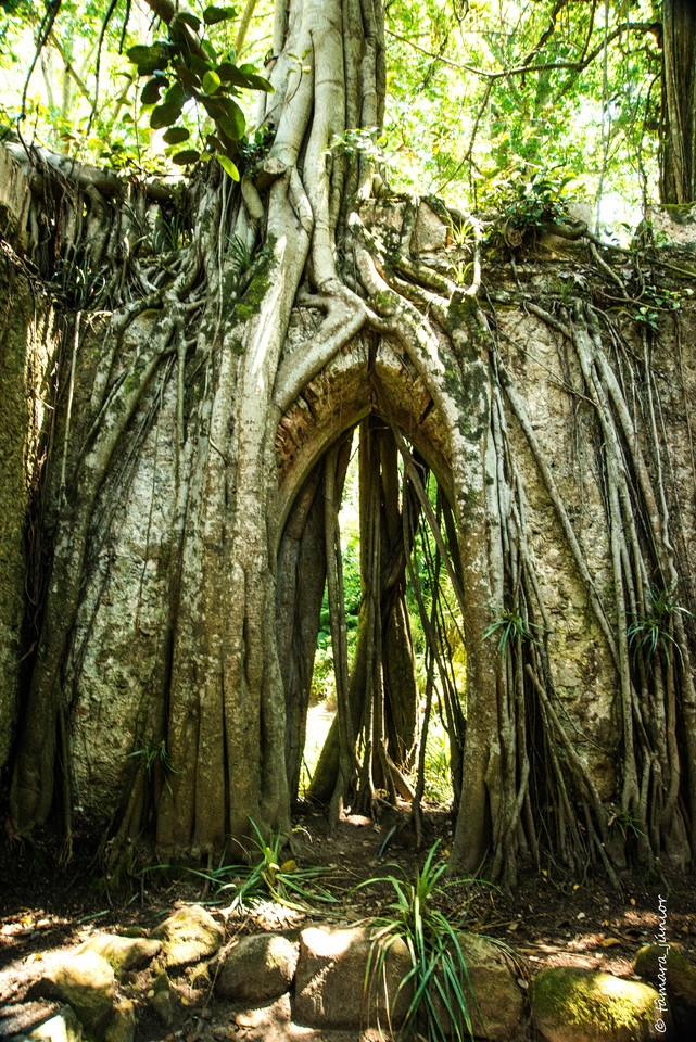 2015 - Sintra II (472).jpg