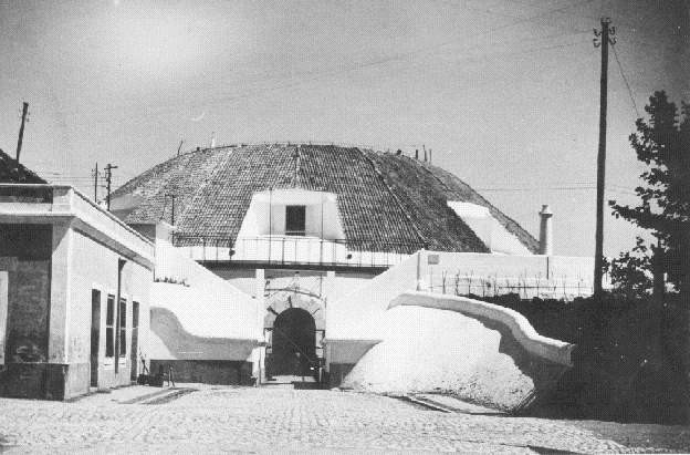 André Salgado.jpg André Salgado.jpg