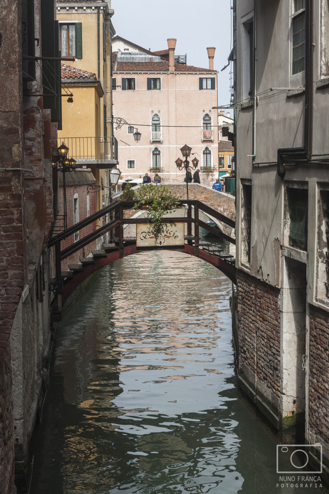 IMG_5551_net.jpg IMG_5551_net.jpg