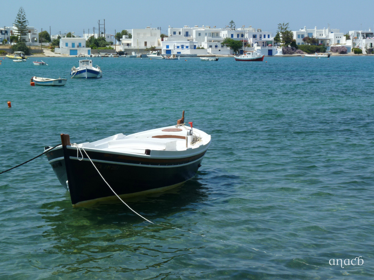 Milos-Pollonia (2778) cópia assin.jpg