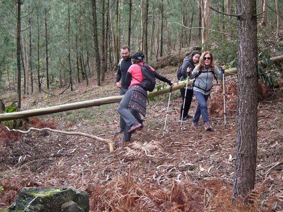 16864344_721998974648272_2247994949997858132_n.jpg 16864344_721998974648272_2247994949997858132_n.jpg