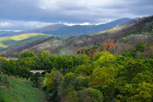 OH2018_1_600.jpg OH2018_1_600.jpg