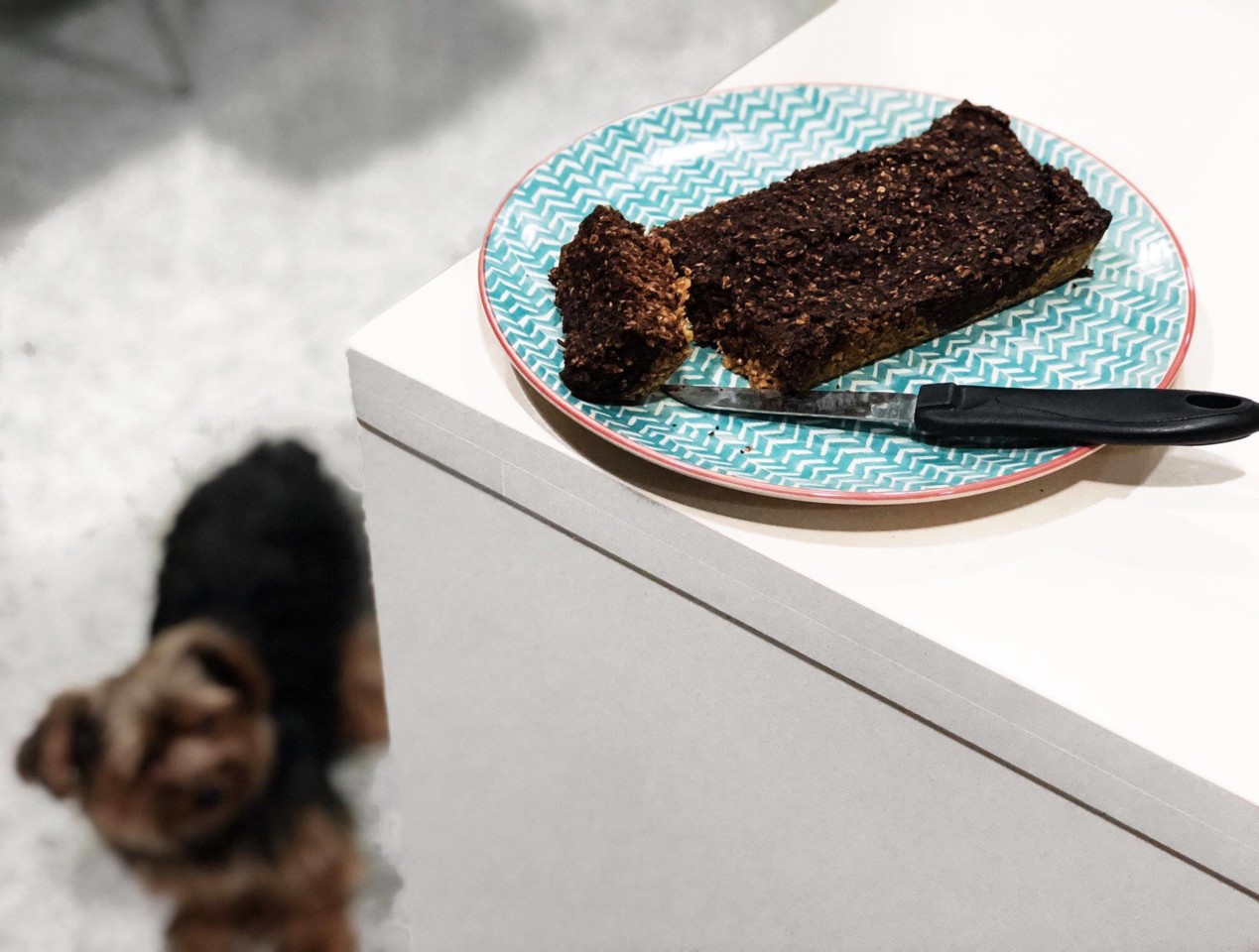 48371286_1410056565795580_7840142012035629056_o.jp