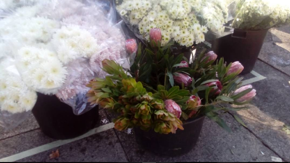 foto 1.png foto 1.png