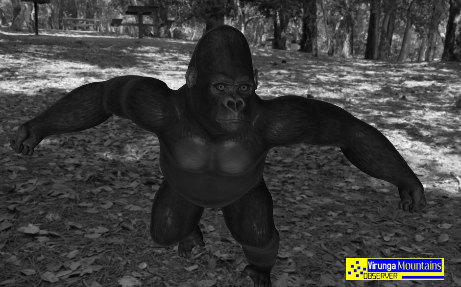 Joram Jojo Joram Jojo