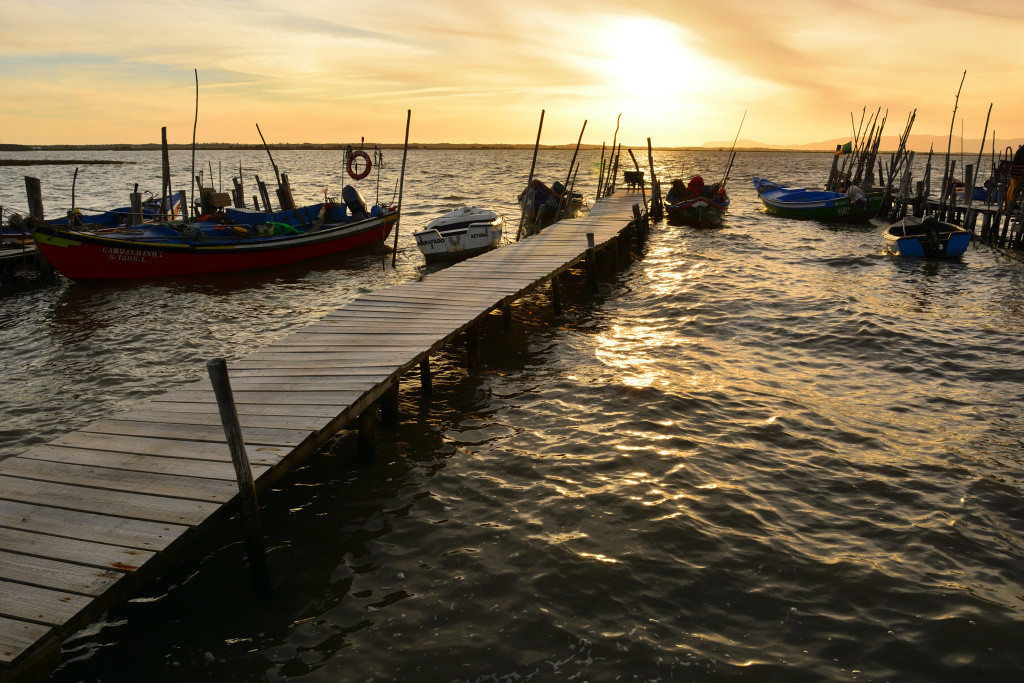 DSC_2944_01_00025.jpg DSC_2944_01_00025.jpg