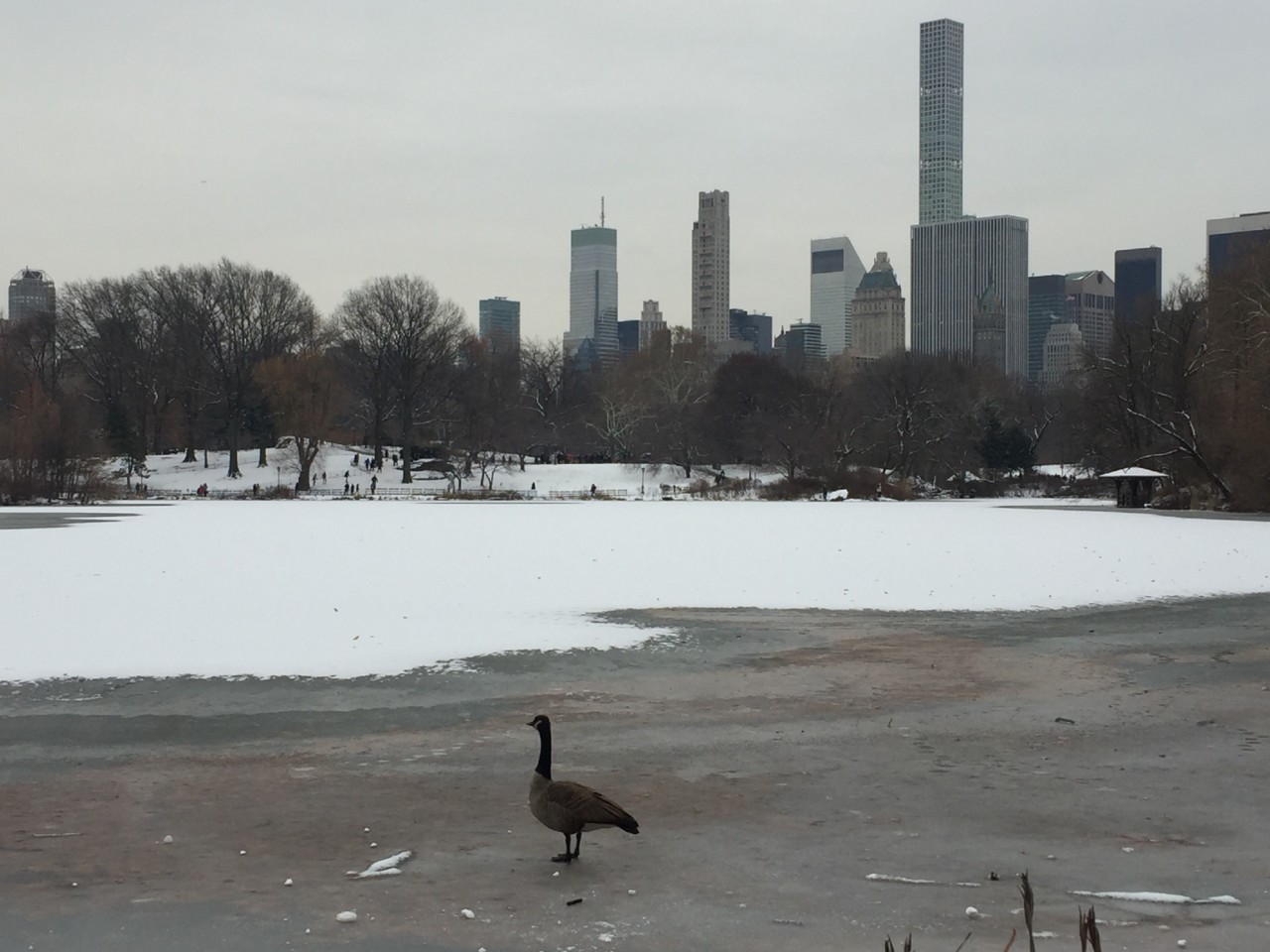 IMG_8524.JPG IMG_8524.JPG