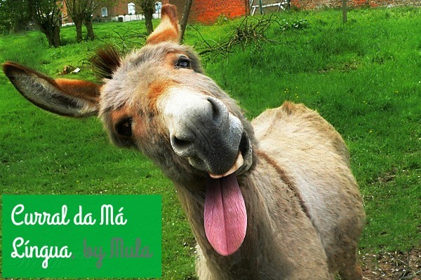 197034_955e_1024x20002.jpg 197034_955e_1024x20002.jpg