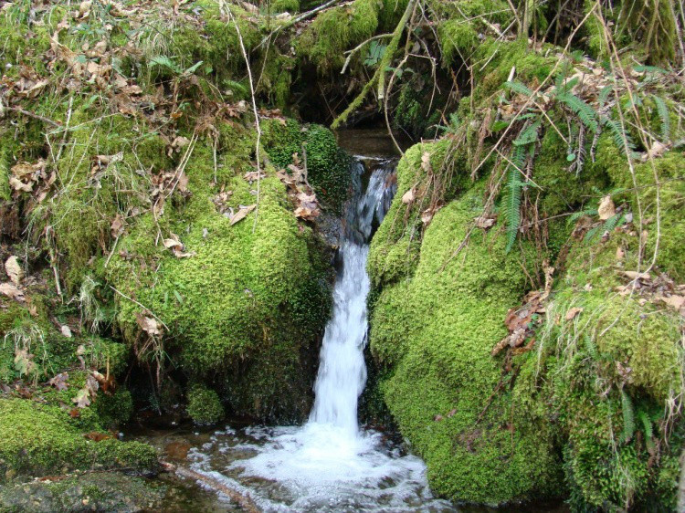 MENTE DESCONTÍNUA.jpg