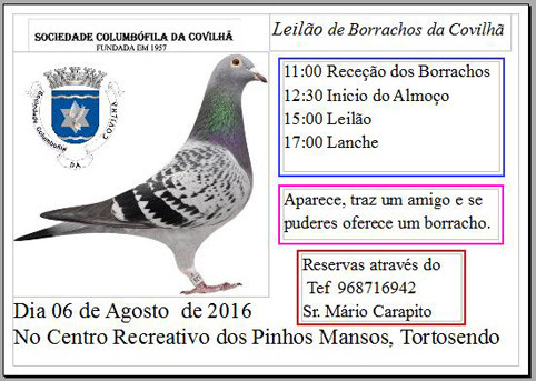 Leilão Covilhã.jpg