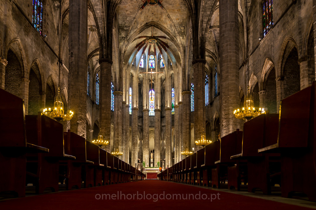 DSC03901.jpg DSC03901.jpg