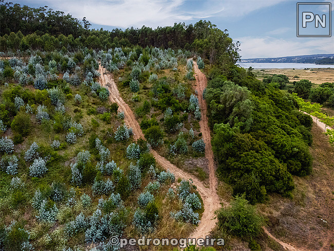 M2_Jun_2023 001 650px.jpg