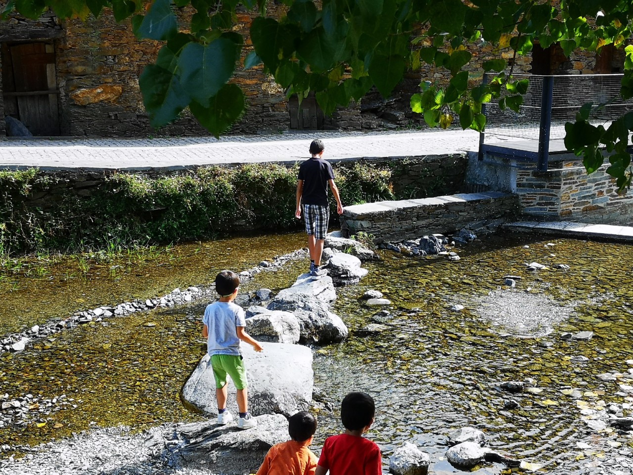 IMG_20191006_113350.jpg IMG_20191006_113350.jpg