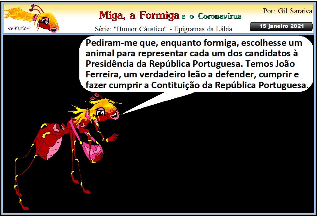 MIGA904.JPG