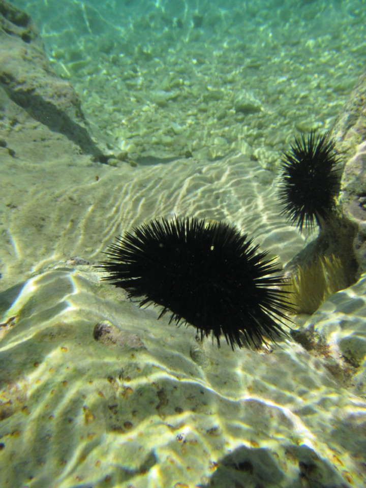 IMG_0491.JPG IMG_0491.JPG