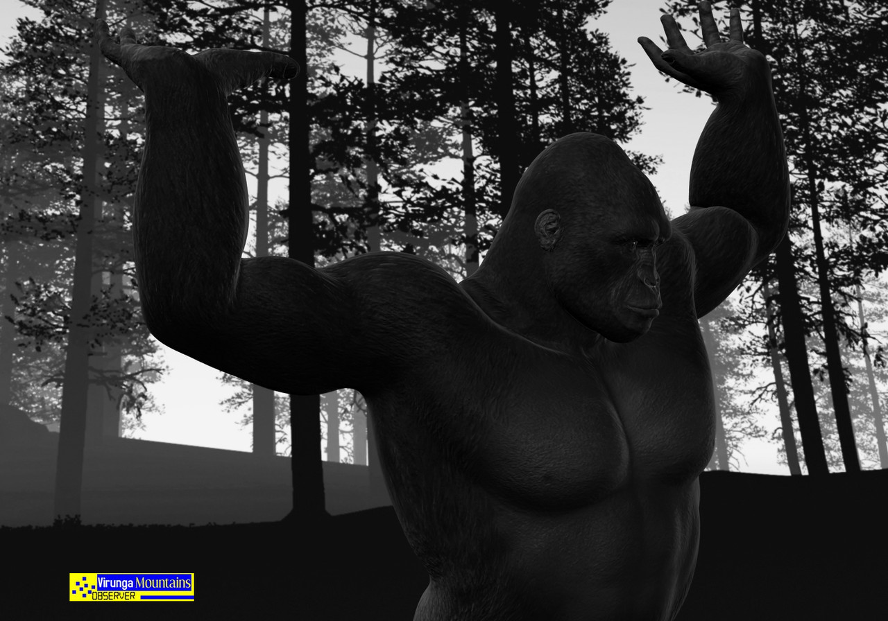 Joram Jojo Joram Jojo