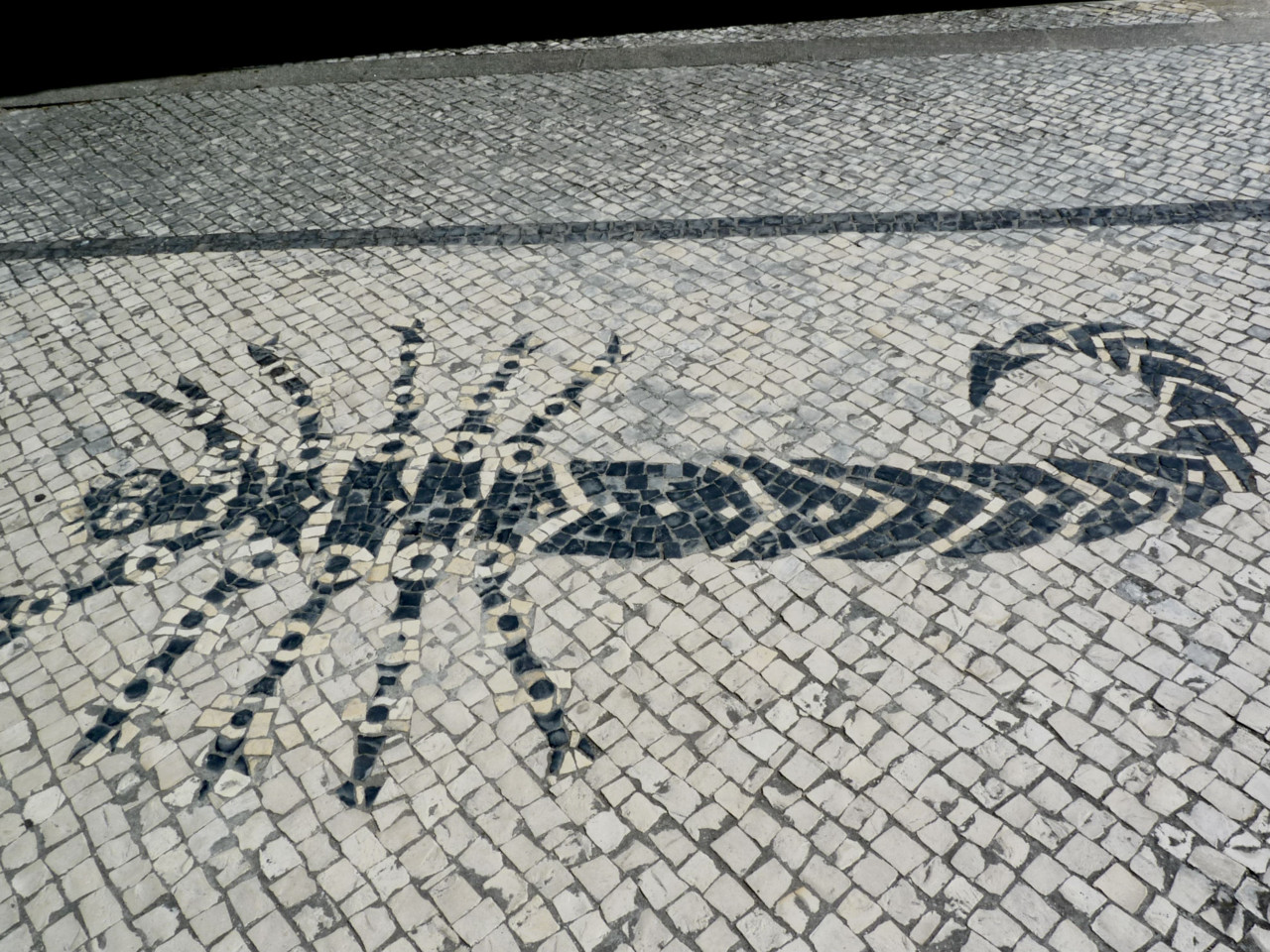 calçada portuguesa 2.jpg