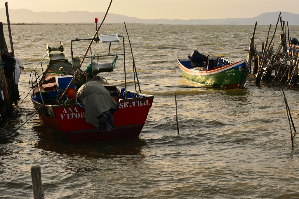 DSC_2920_02_00014.jpg DSC_2920_02_00014.jpg