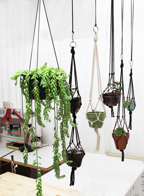 hanging-garden2.jpg hanging-garden2.jpg