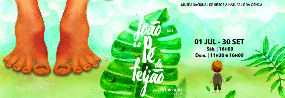 Banner Facebook Feijao.jpg