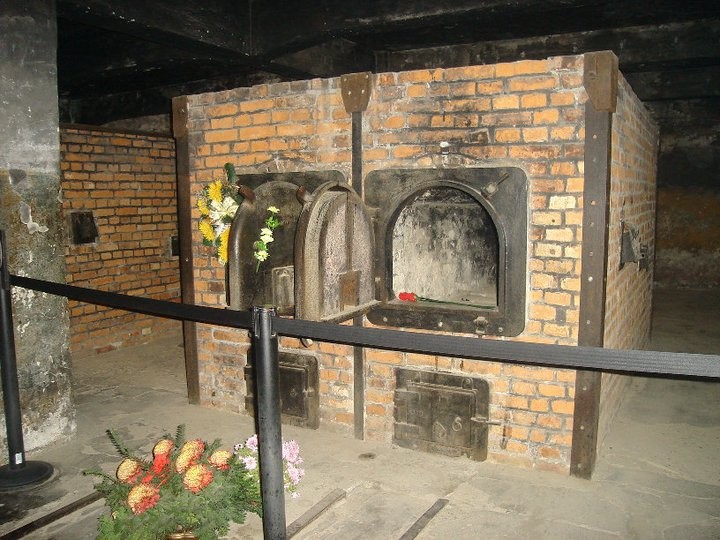 74155_166445906721482_6408417_n.jpg 74155_166445906721482_6408417_n.jpg