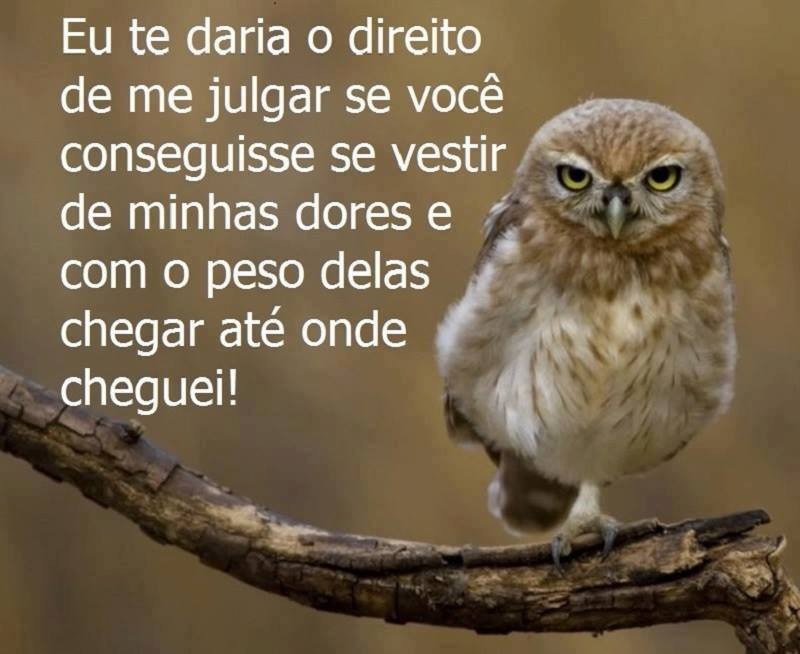 13177335_1560852590875006_8685249791566877015_n.jp