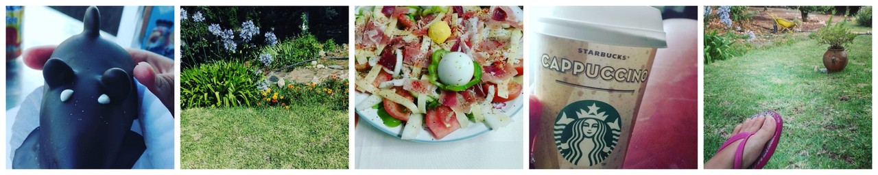 PicMonkey Collage1.jpg