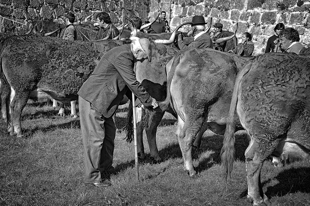 _JMD8470 - Cópia.JPG