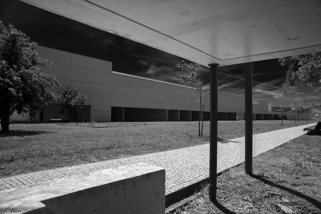 1600-macna (1242).jpg