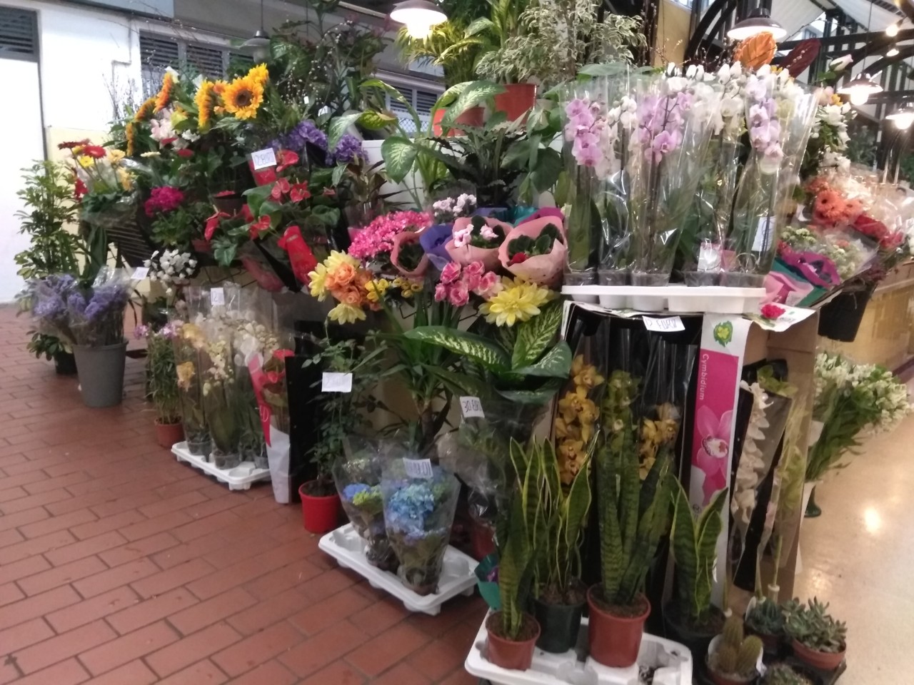 IMG_20180410_141800.jpg IMG_20180410_141800.jpg