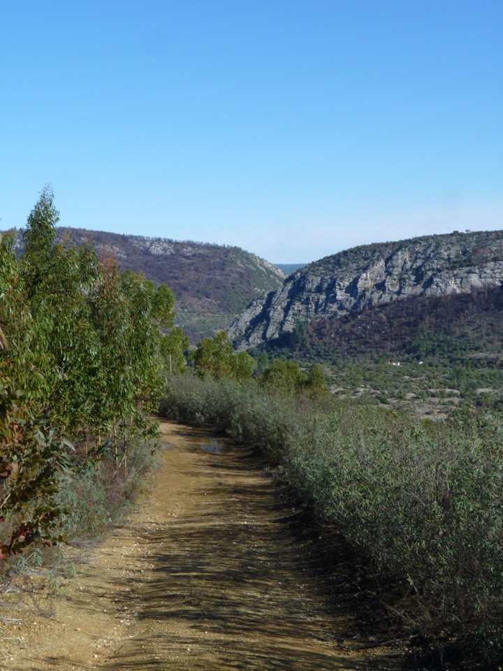 Conhal (3).jpeg Conhal (3).jpeg