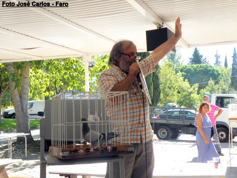 Leilão Asas Beja 2017 055.JPG