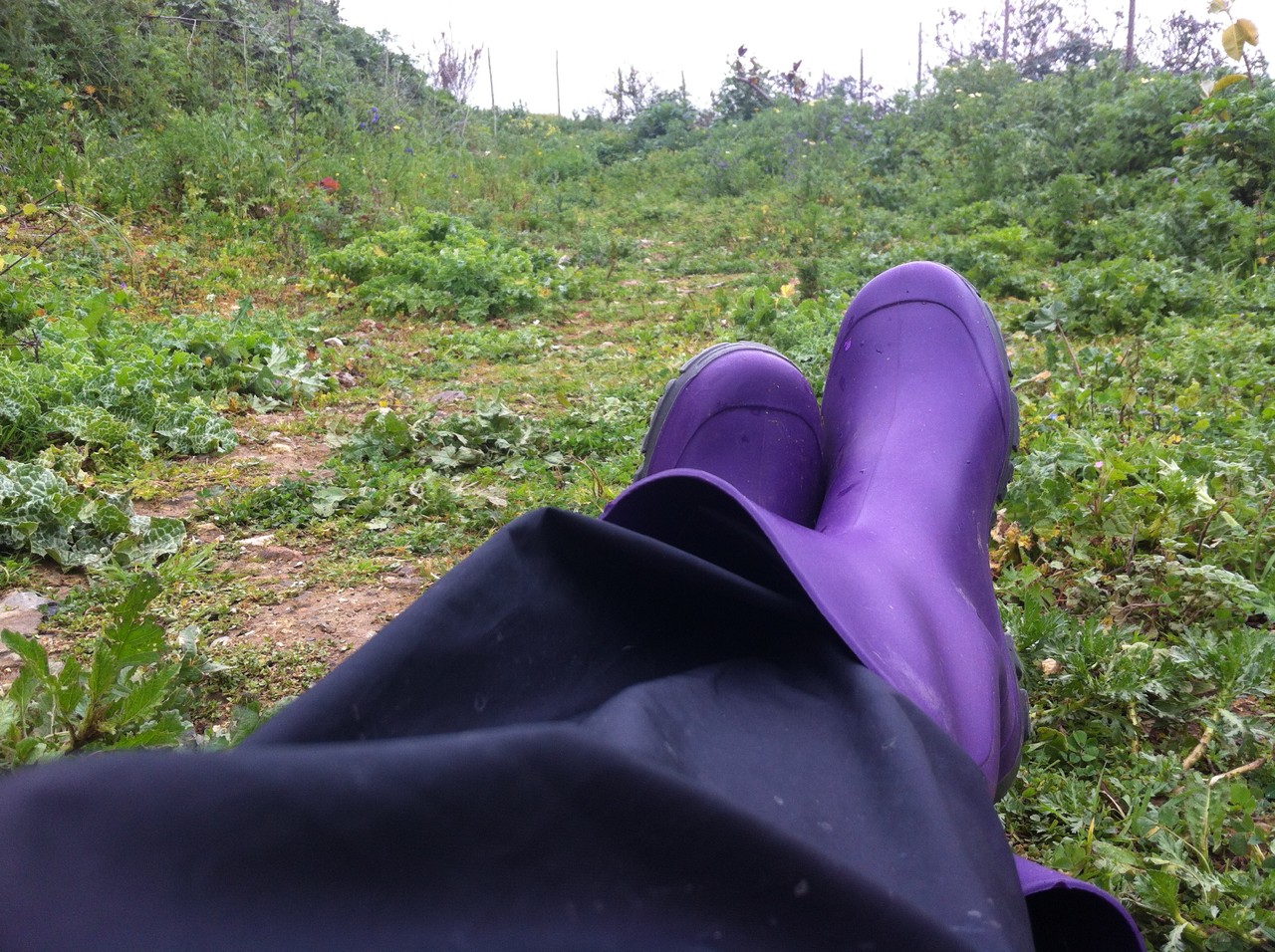 2016-03-26 11.12.40.jpg