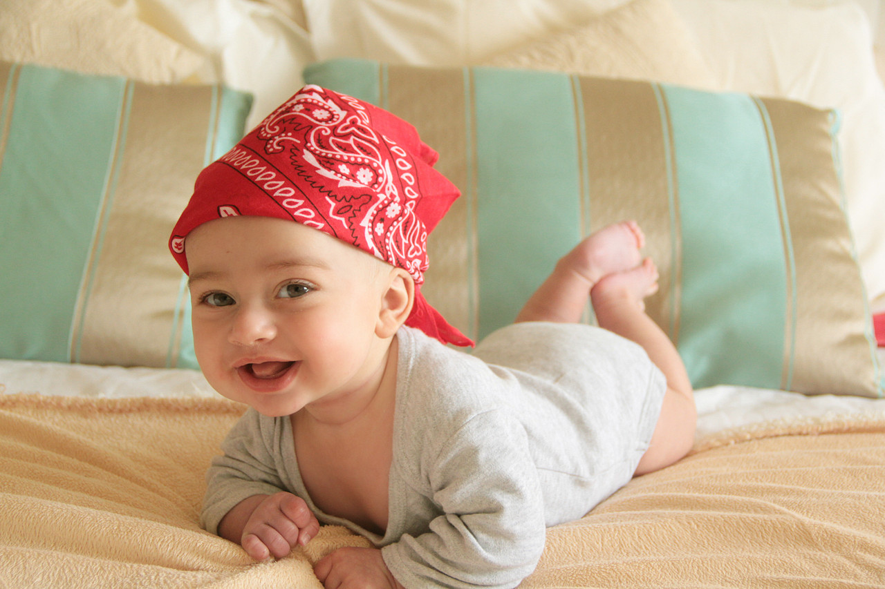 21458447945.jpg 21458447945.jpg