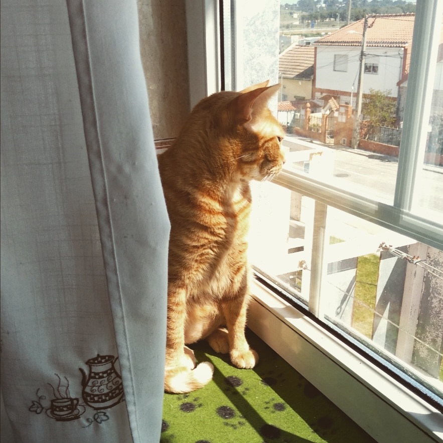 IMG_20200314_123208_573.jpg IMG_20200314_123208_573.jpg