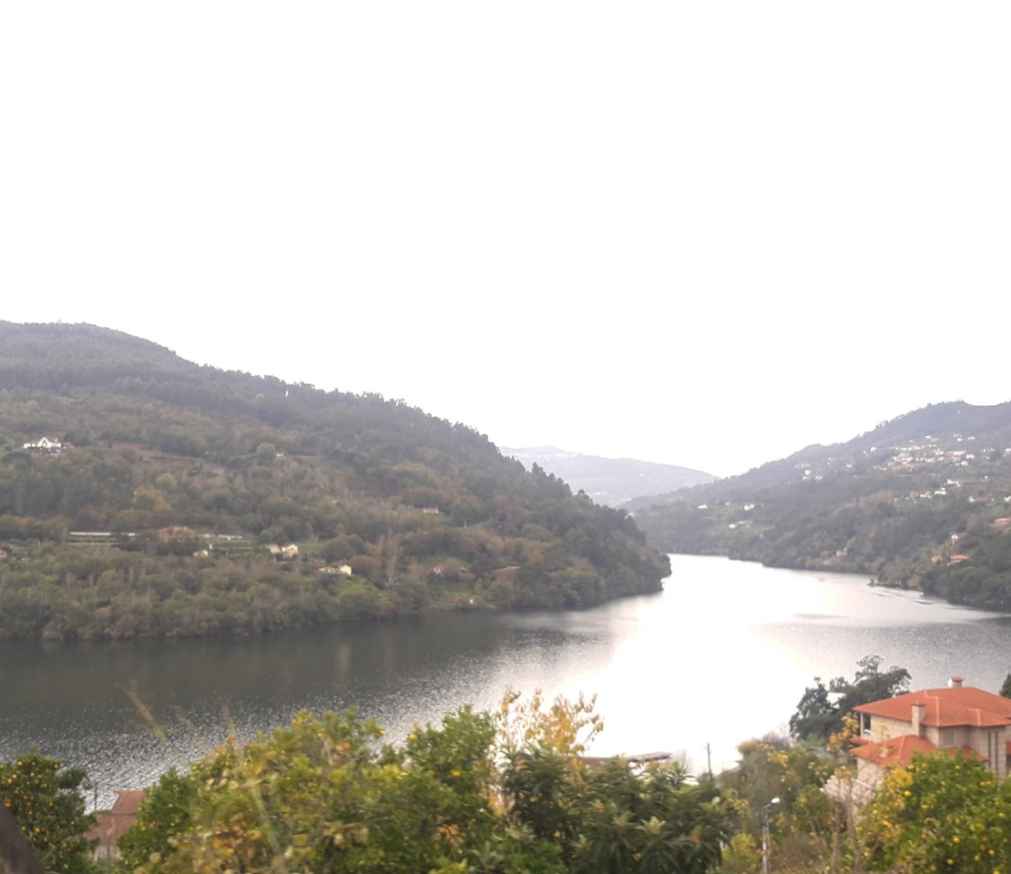 IMG_20191124_131109_661.jpg IMG_20191124_131109_661.jpg